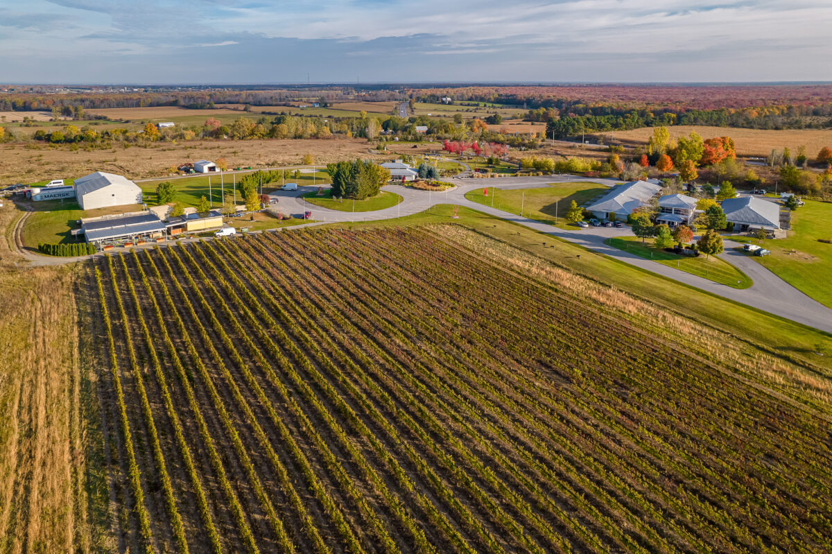 Huff Estates Winery, Oeno Gallery and The Inn at Huff Estates - Aerial view